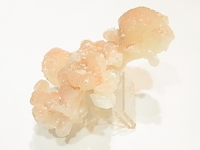 GA00017K�����ƥ���Х��ȡʥ����饤�ȡ˸���