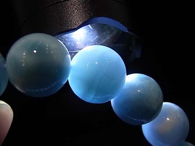 �ڥ������оݳ��ۡ�NSG0008���ǹ��ʼ����ޡ���12�����֥쥹��åȡڥͥåȥ���å׸��꾦�ʡ�