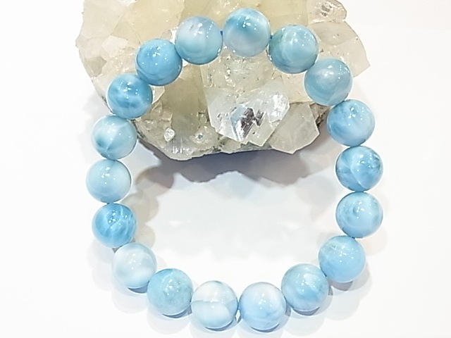 �ڥ������оݳ��ۡ�NSG0008���ǹ��ʼ����ޡ���12�����֥쥹��åȡڥͥåȥ���å׸��꾦�ʡ�