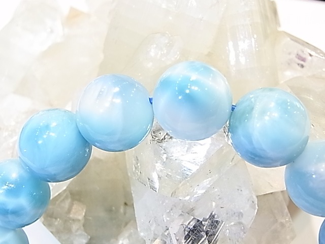 �ڥ������оݳ��ۡ�NSG0008���ǹ��ʼ����ޡ���12�����֥쥹��åȡڥͥåȥ���å׸��꾦�ʡ�