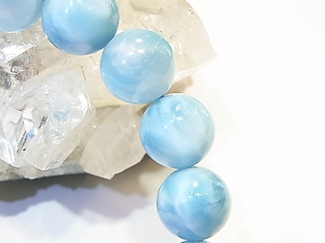 �ڥ������оݳ��ۡ�NSG0008���ǹ��ʼ����ޡ���12�����֥쥹��åȡڥͥåȥ���å׸��꾦�ʡ�