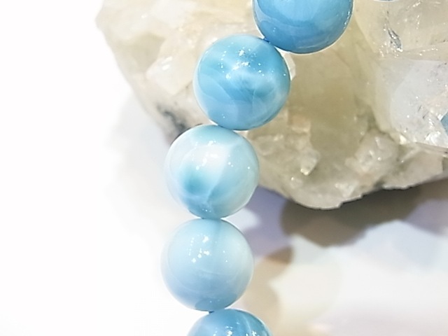 �ڥ������оݳ��ۡ�NSG0008���ǹ��ʼ����ޡ���12�����֥쥹��åȡڥͥåȥ���å׸��꾦�ʡ�