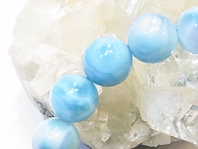 �ڥ������оݳ��ۡ�NSG0008���ǹ��ʼ����ޡ���12�����֥쥹��åȡڥͥåȥ���å׸��꾦�ʡ�