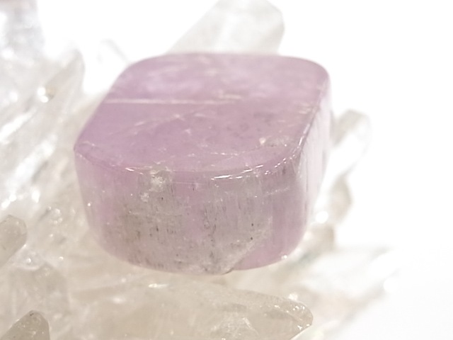 PA00107K������ĥ����ȡ��ꤢ���ڥ����ȥȥå�