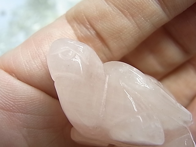 ��������������<����>