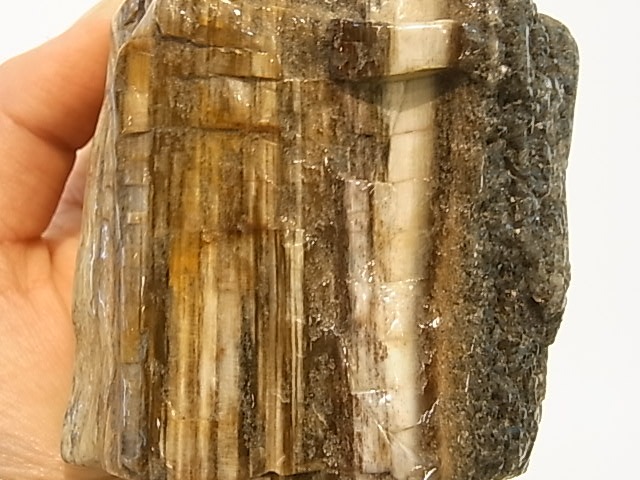 GK00015F  �ڥȥ�ե����ɥ��åɸ��С��ڴ����С�