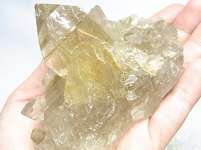 GF0001 ����륯������