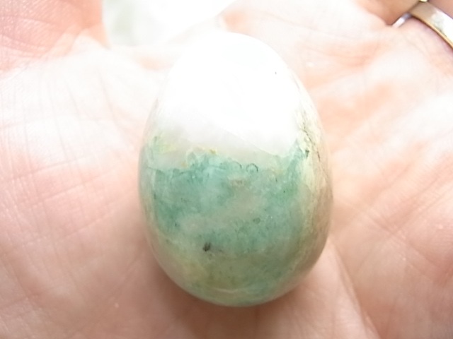 CF0007 �������