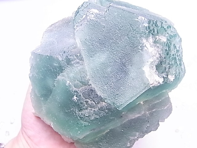 GF0027 ���꡼��ե����饤��