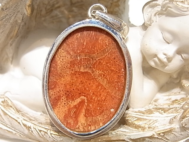 PK00076F �������(������)������С��ڥ����ȥإå�