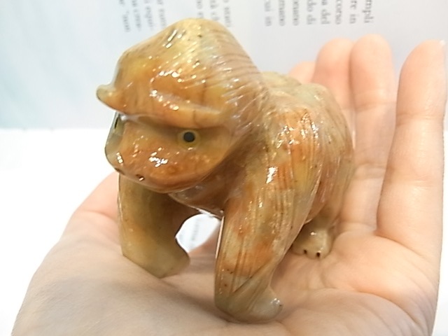 CY0021F �����ץ��ȡ���[�����]