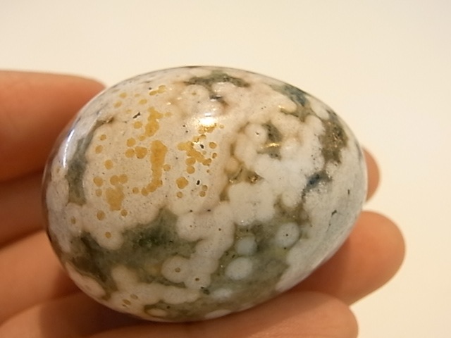 EK0006F ��������󥸥㥹�ѡ������å�