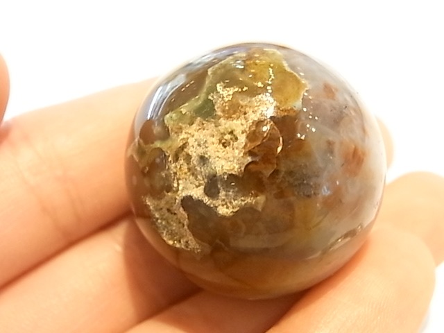 ��K00024F ��������󥸥㥹�ѡ����ݶ�