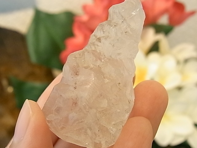 GK00071F �ҥޥ��徽�����������ꥹ���� ����