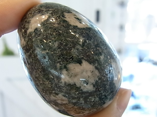 EK00011F �ץ쥻��֥롼���ȡ��󡡥��å���