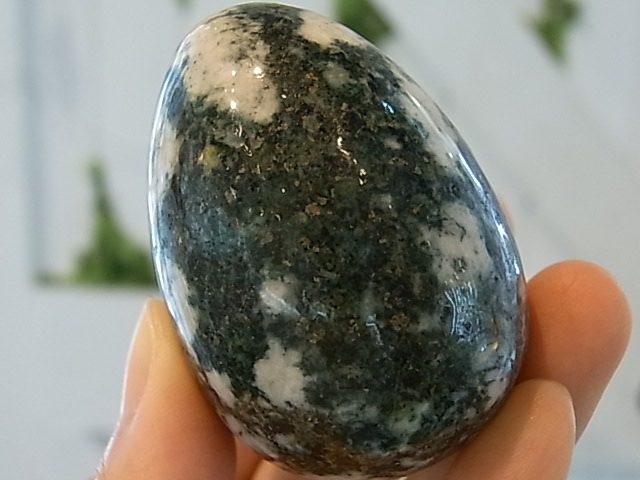 EK00012F �ץ쥻��֥롼���ȡ��󡡥��å�