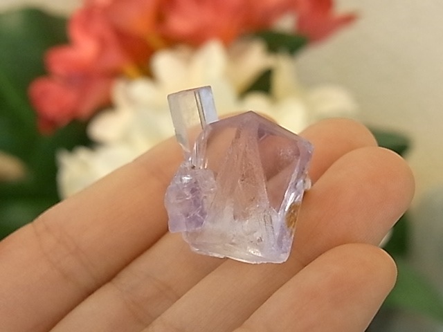 GK00073F �ե����饤�� ����(���ڥ���)