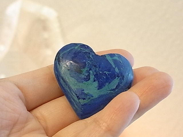 CY0025F �ʥߥӥ��������饤�ȡ��ϡ��ȥݥ�å���