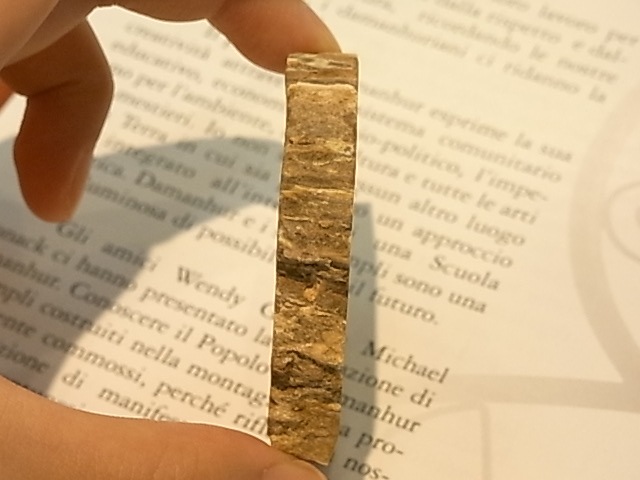 GK00085F  �ڥȥ�ե����ɥ��å� ���饤�����åȸ���(���꥾�ʻ�)���ڴ����Сۡ�