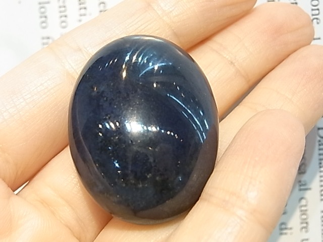 LY0003F �ӥӥ��ʥ��ȥ롼�� �������ȥ�ꥢ��