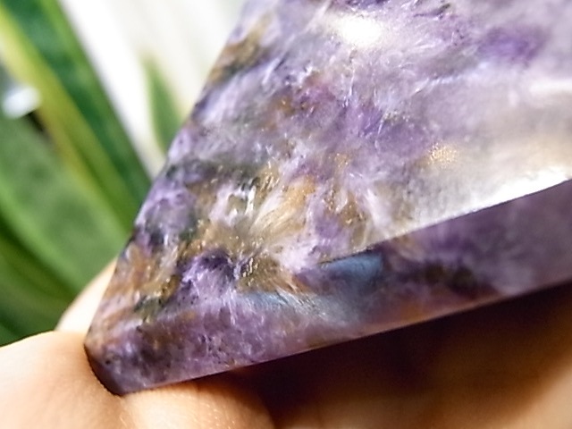 UE00011K������������� �ԥ�ߥå�