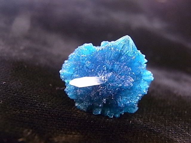 BU0125F ���Х󥵥��ȸ��С�����ɻ�