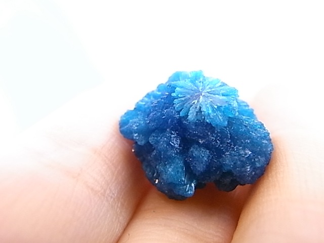 BU0128F ���Х󥵥��ȸ��С�����ɻ�