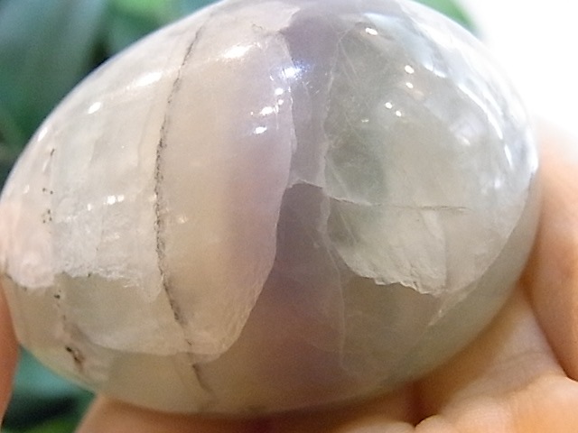 BU00133F �ե����饤�� ���å�