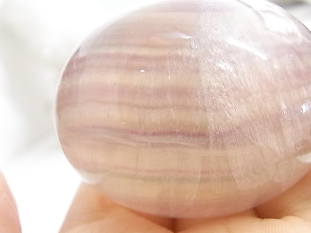 BU00134F �ե����饤�� ���å�