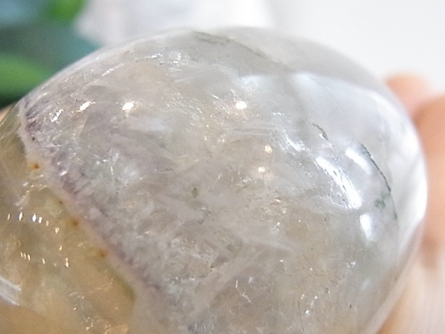 BU00136F �ե����饤�� ���å�