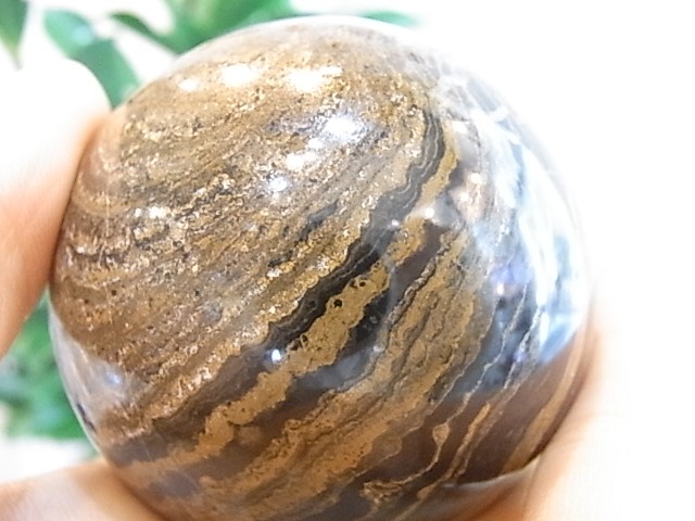 BU00177�����ȥ��ޥȥ饤�ȡ��ڥ롼��