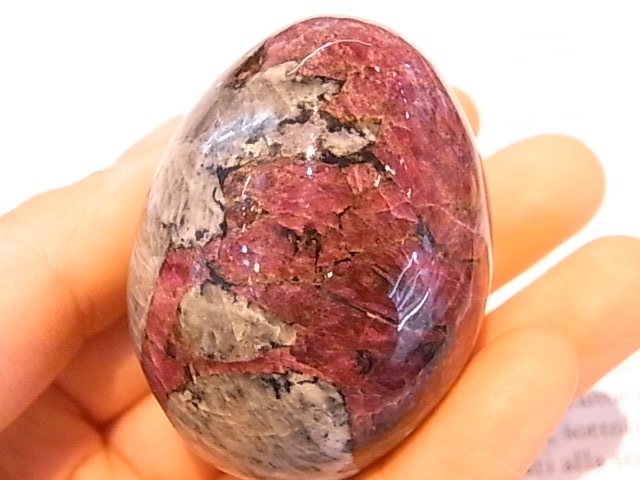 EK00029F ������Т�桼�ǥ����饤�ȡ����å���(��������)