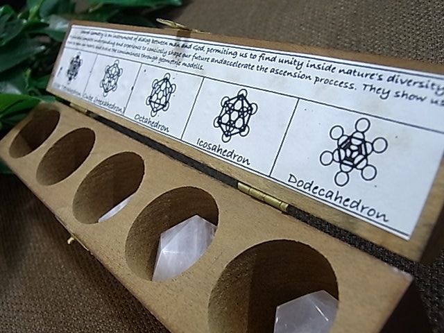 UE00094K �ץ�ȥ�Ω�Ρ�5�ĥ��å�