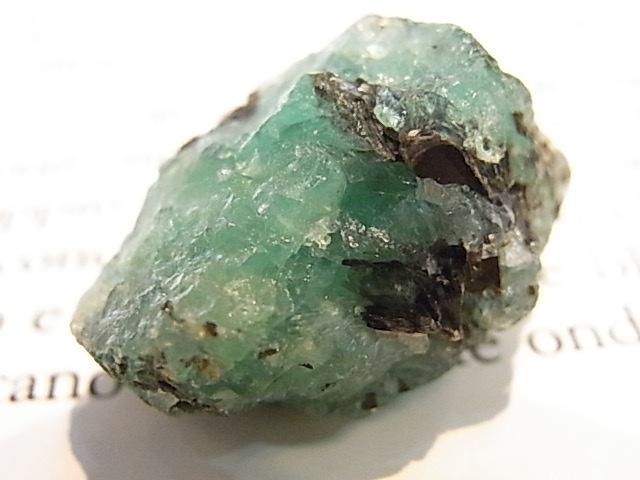 GK00289F ɸ (󥶥˥)