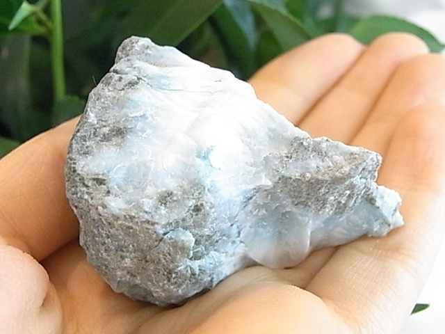 BU00218F�����ޡ�������