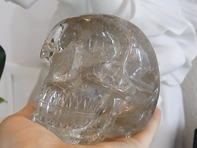 BU00376K ���ȥ�󥹥���(�ȥ�ޥ������)