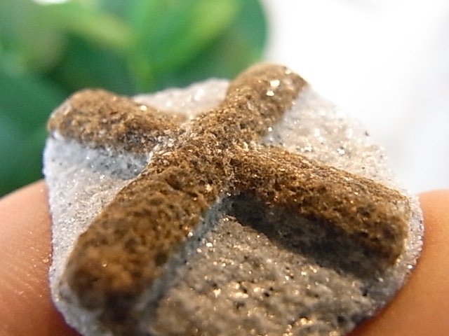 BU00378�ơ����������饤�ȡ���������