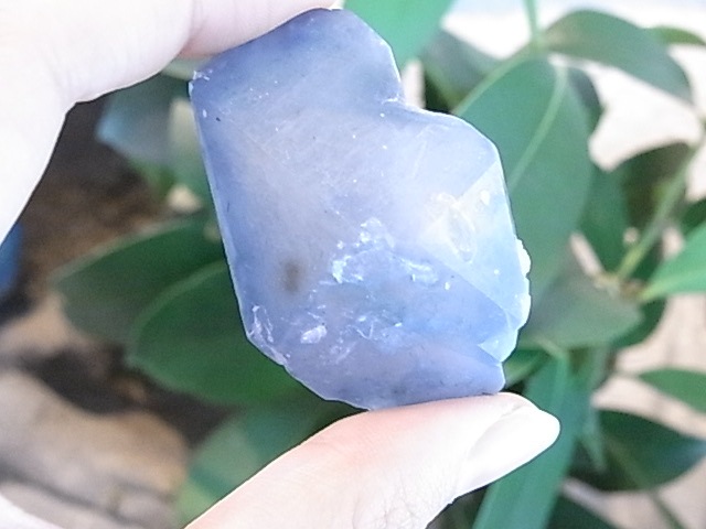 BU00392F ����ǥ����饤�ȥ�������
