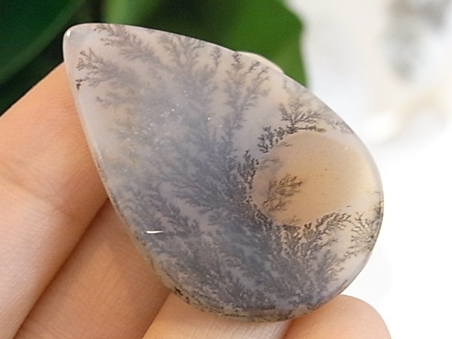 BU00418F �ǥ�ɥ���å���������