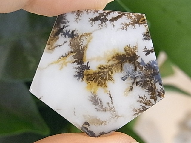 BU00419F �ǥ�ɥ���å���������