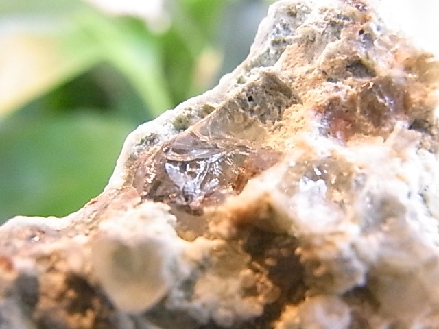 BU00459F�����ۥ��������ꥫ�륻�ɥˡ���������