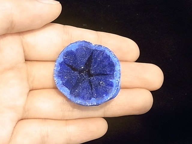 GA0006F �������� �����饤�ȸ���