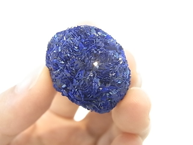 GA00020K���������������饤�� ����