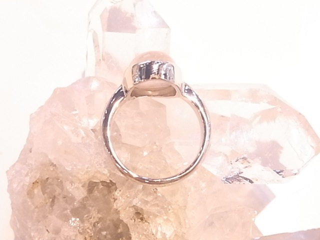 RA00018F����륬�ʥ��ȡ�����С����