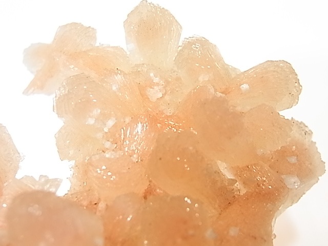 GA00018K�����ƥ���Х��ȡʥ����饤�ȡ˸���