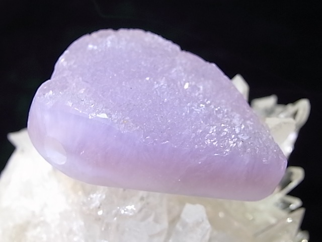 PA00108K����٥�������᥸���ȡ��ꤢ���ڥ����ȥȥå�