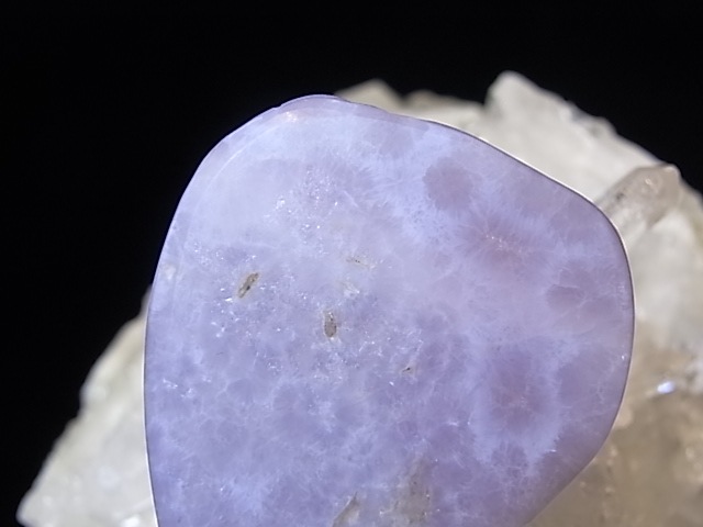 PA00108K����٥�������᥸���ȡ��ꤢ���ڥ����ȥȥå�