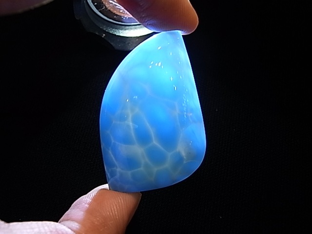 �ڥ������оݳ��ۡ�NSG0009�����ʼ����ޡ����롼���ڥͥåȥ���å׸��꾦�ʡ�