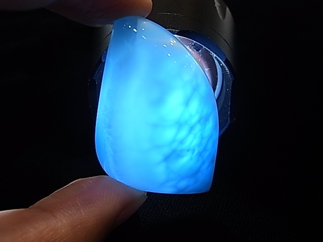 �ڥ������оݳ��ۡ�NSG0009�����ʼ����ޡ����롼���ڥͥåȥ���å׸��꾦�ʡ�