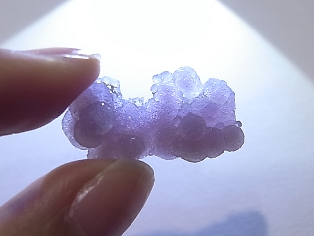 GA00060K���ѡ��ץ륫�륻�ɥˡ�������